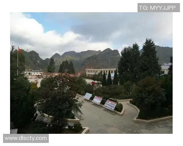 女足球明星的偶像之路：从梦想起航到全球舞台的辉煌成就